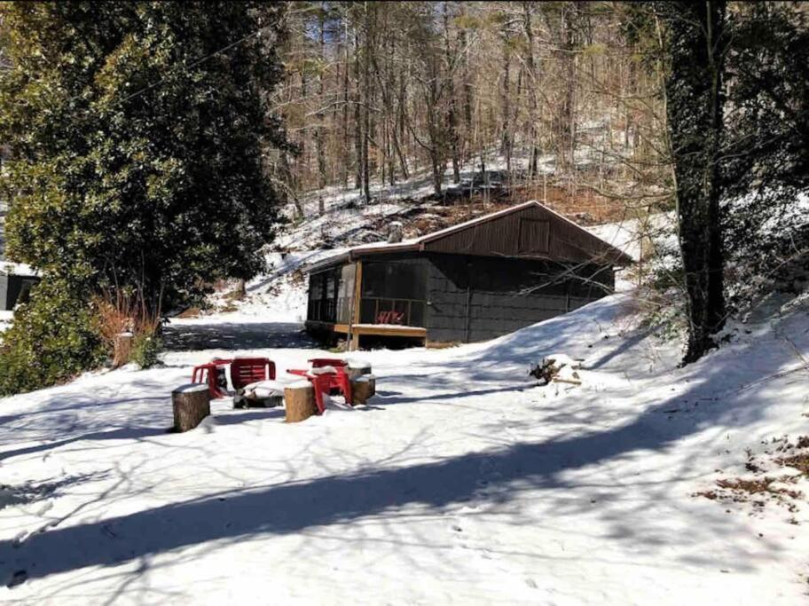 Cabin At The Cove At Watauga Lake Butler Екстериор снимка